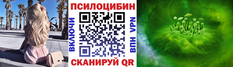 Псилоцибиновые грибы мухоморы  Купить закладки  Болотное 