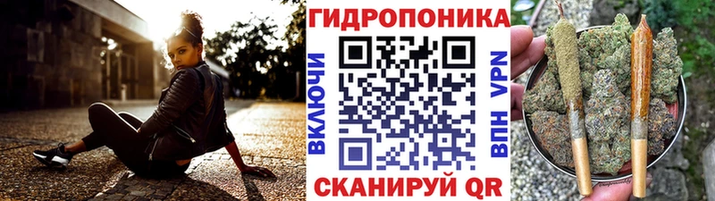 Шишки марихуана VHQ  Купить  Болотное 